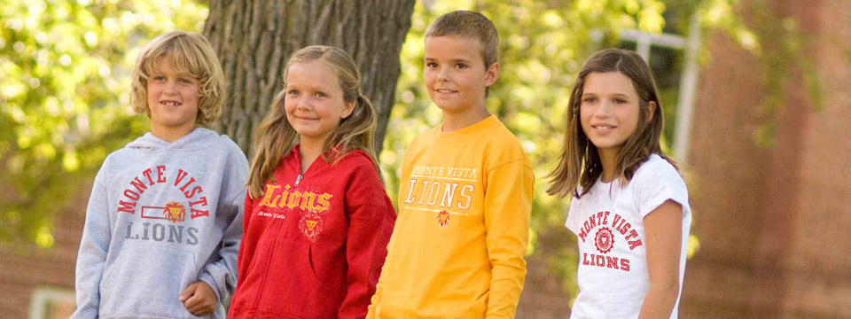 Bulk T-Shirts Bulk T-Shirts